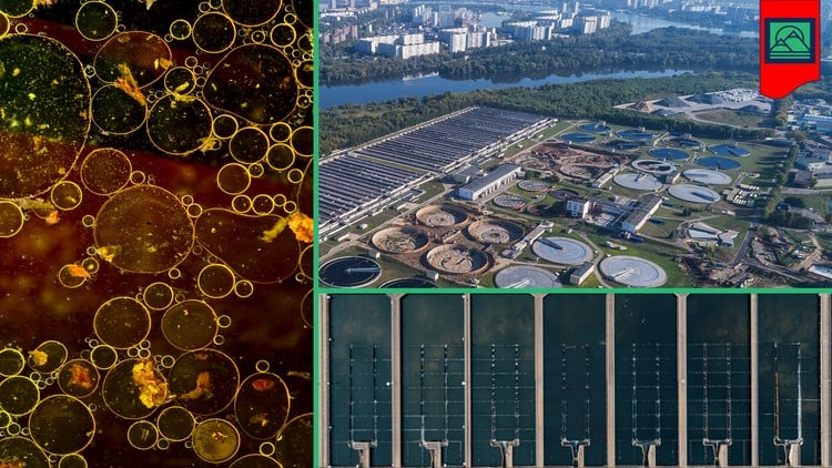 Introduction to Wastewater Management & Treatment