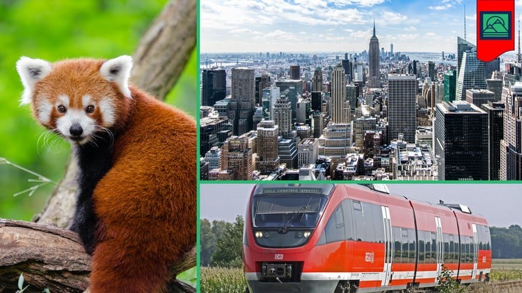 ESG 101: Basics for Beginners