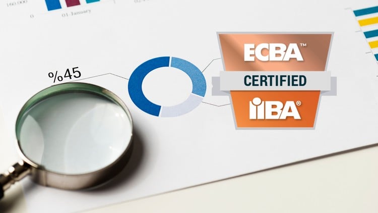 Entry Certificate in Business Analysis (ECBA) | 2026 Tests